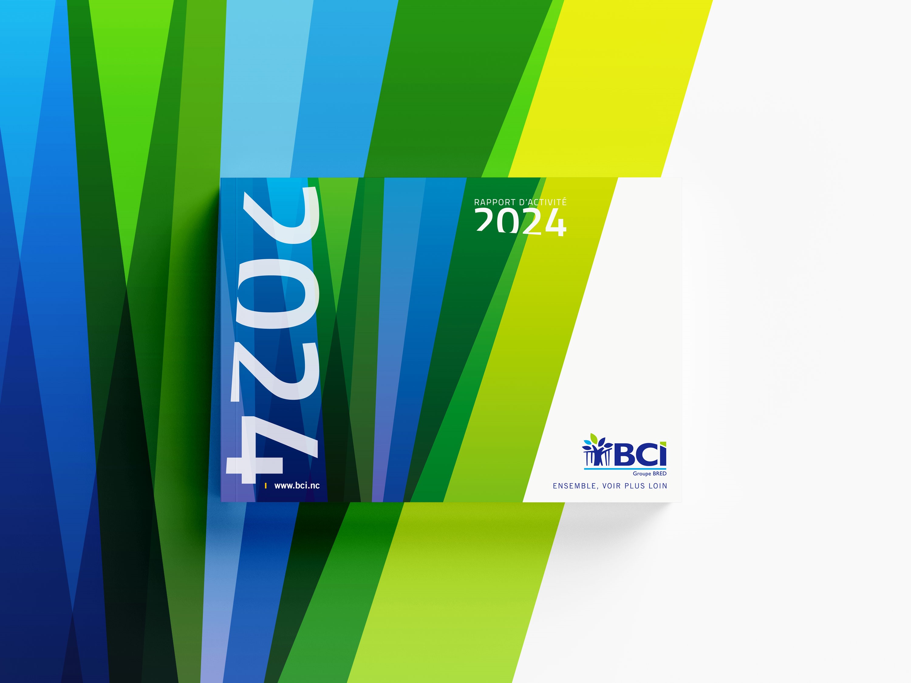 bci RA 2024 vignette
