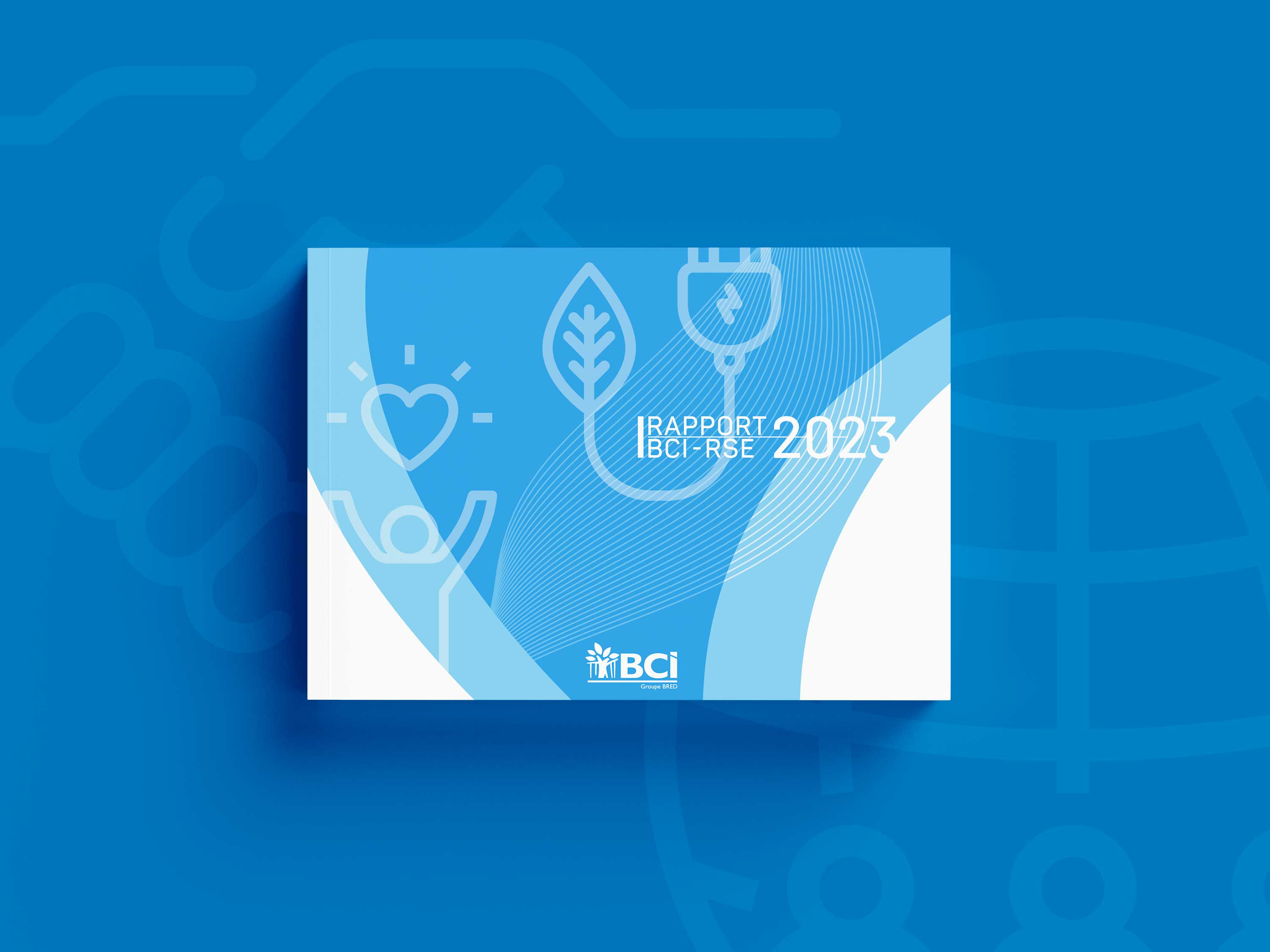 bci RSE 2023 vignette