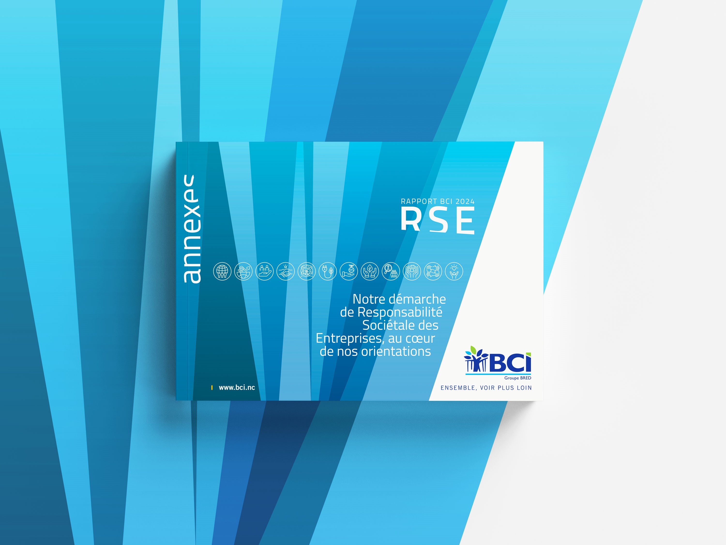 bci RSE 2023 vignette